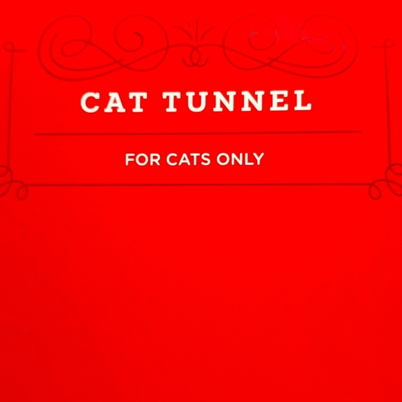 πNWTπ: HOLIDAYπCAT π TUNNEL - Picture 5 of 5